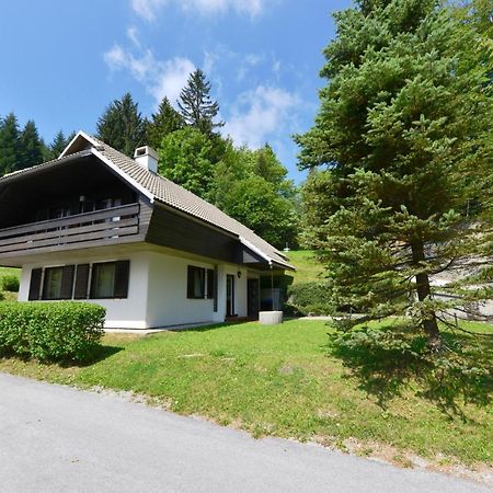 Holiday Home Davca Церкно Екстериор снимка