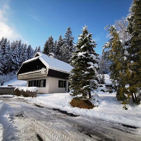 Holiday Home Davca Церкно Екстериор снимка
